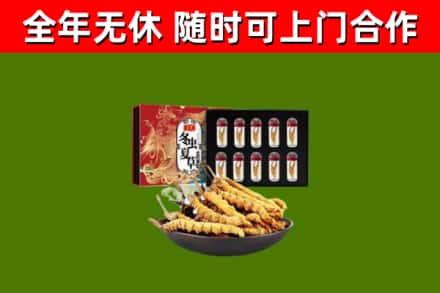 洛隆县回收冬虫夏草价格