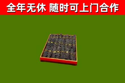 洛隆县回收海参